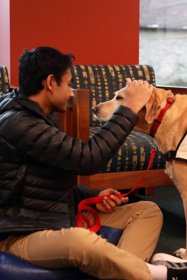 Senior Hari Ganeshan pets his dog Copper, a trained therapy dog. They volunteered for “Paws to Read” at the Carmel Clay Public Library on Nov. 23.