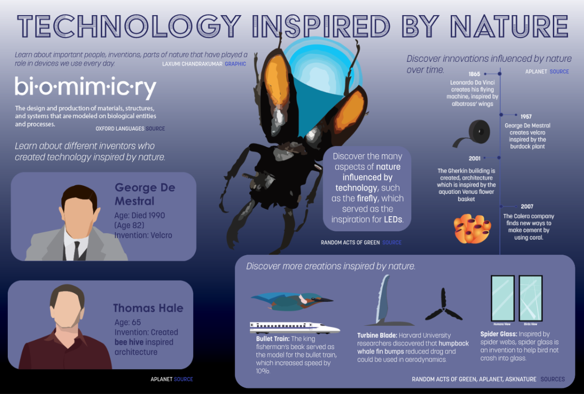 Technology Inspired by Nature